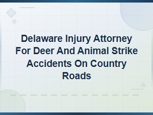 Delaware Attorney for Deer Strike Accidents on Rural Roads